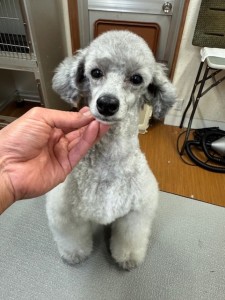 4df99342-4d54-4bc5-8913-9c6ea5f86c36