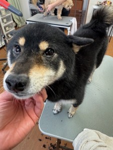 4df99342-4d54-4bc5-8913-9c6ea5f86c36