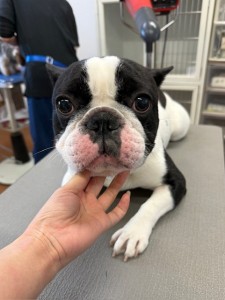 4df99342-4d54-4bc5-8913-9c6ea5f86c36