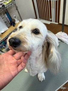 thumbnail_image5 (1)