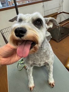 thumbnail_image5 (1)