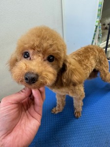 thumbnail_image5 (1)