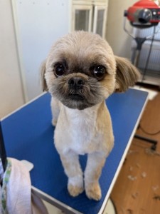 thumbnail_image6 (1)