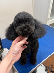 thumbnail_image7 (1)