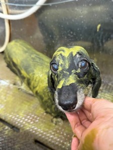 089c18cf-c51d-4496-90a7-1c36668d24d4