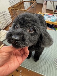 089c18cf-c51d-4496-90a7-1c36668d24d4