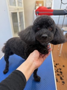 089c18cf-c51d-4496-90a7-1c36668d24d4