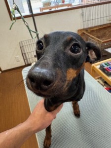 089c18cf-c51d-4496-90a7-1c36668d24d4