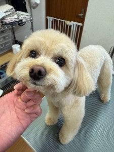 089c18cf-c51d-4496-90a7-1c36668d24d4