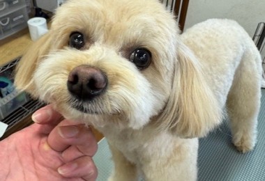 089c18cf-c51d-4496-90a7-1c36668d24d4