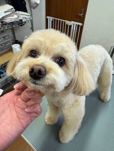 089c18cf-c51d-4496-90a7-1c36668d24d4