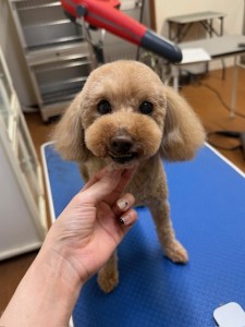 089c18cf-c51d-4496-90a7-1c36668d24d4