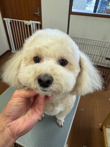 089c18cf-c51d-4496-90a7-1c36668d24d4