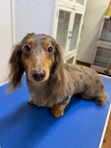 089c18cf-c51d-4496-90a7-1c36668d24d4