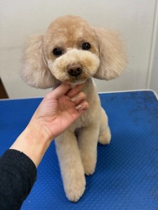 089c18cf-c51d-4496-90a7-1c36668d24d4