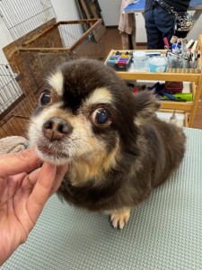 089c18cf-c51d-4496-90a7-1c36668d24d4