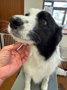 089c18cf-c51d-4496-90a7-1c36668d24d4