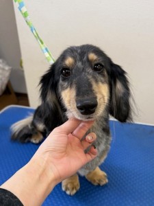 089c18cf-c51d-4496-90a7-1c36668d24d4