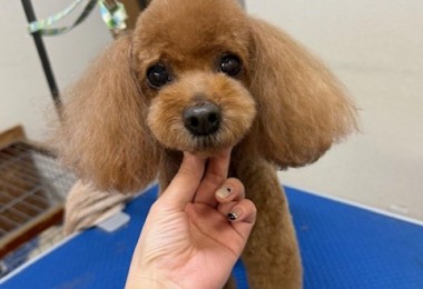 089c18cf-c51d-4496-90a7-1c36668d24d4