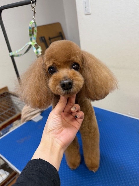 089c18cf-c51d-4496-90a7-1c36668d24d4