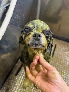 224c813d-1e0a-46f9-b598-c6c9b76b43fa