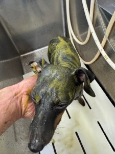 224c813d-1e0a-46f9-b598-c6c9b76b43fa