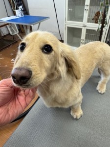 224c813d-1e0a-46f9-b598-c6c9b76b43fa