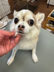 224c813d-1e0a-46f9-b598-c6c9b76b43fa