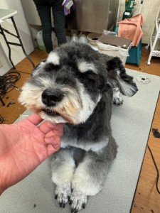 224c813d-1e0a-46f9-b598-c6c9b76b43fa