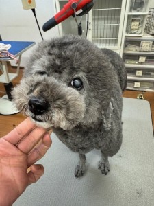 224c813d-1e0a-46f9-b598-c6c9b76b43fa