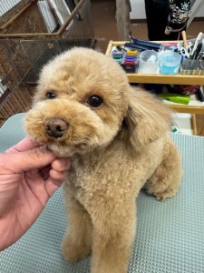 224c813d-1e0a-46f9-b598-c6c9b76b43fa