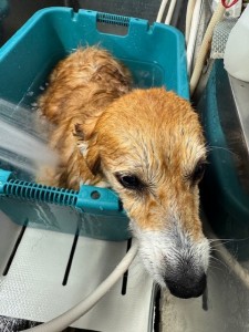 224c813d-1e0a-46f9-b598-c6c9b76b43fa