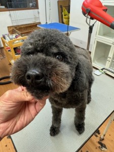 224c813d-1e0a-46f9-b598-c6c9b76b43fa