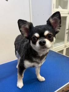 224c813d-1e0a-46f9-b598-c6c9b76b43fa