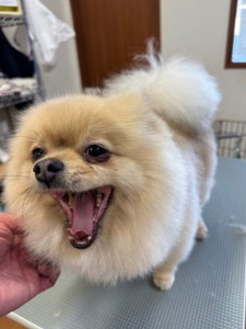 224c813d-1e0a-46f9-b598-c6c9b76b43fa