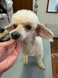 224c813d-1e0a-46f9-b598-c6c9b76b43fa