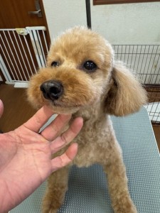 224c813d-1e0a-46f9-b598-c6c9b76b43fa