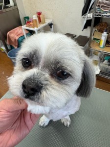 224c813d-1e0a-46f9-b598-c6c9b76b43fa