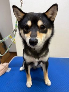 224c813d-1e0a-46f9-b598-c6c9b76b43fa