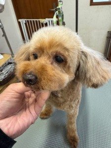 224c813d-1e0a-46f9-b598-c6c9b76b43fa