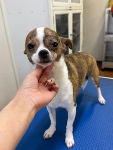 224c813d-1e0a-46f9-b598-c6c9b76b43fa