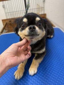 252c4d89-6189-4de5-9542-fe3e95604e85