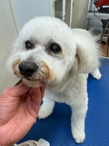 252c4d89-6189-4de5-9542-fe3e95604e85