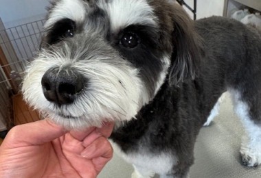 252c4d89-6189-4de5-9542-fe3e95604e85