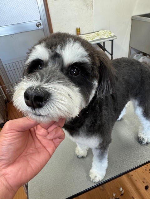 252c4d89-6189-4de5-9542-fe3e95604e85