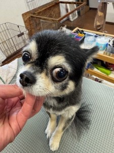 252c4d89-6189-4de5-9542-fe3e95604e85