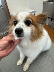 252c4d89-6189-4de5-9542-fe3e95604e85