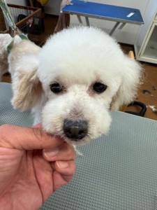 252c4d89-6189-4de5-9542-fe3e95604e85