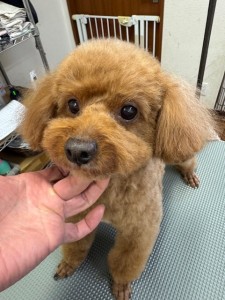 252c4d89-6189-4de5-9542-fe3e95604e85