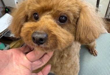 252c4d89-6189-4de5-9542-fe3e95604e85